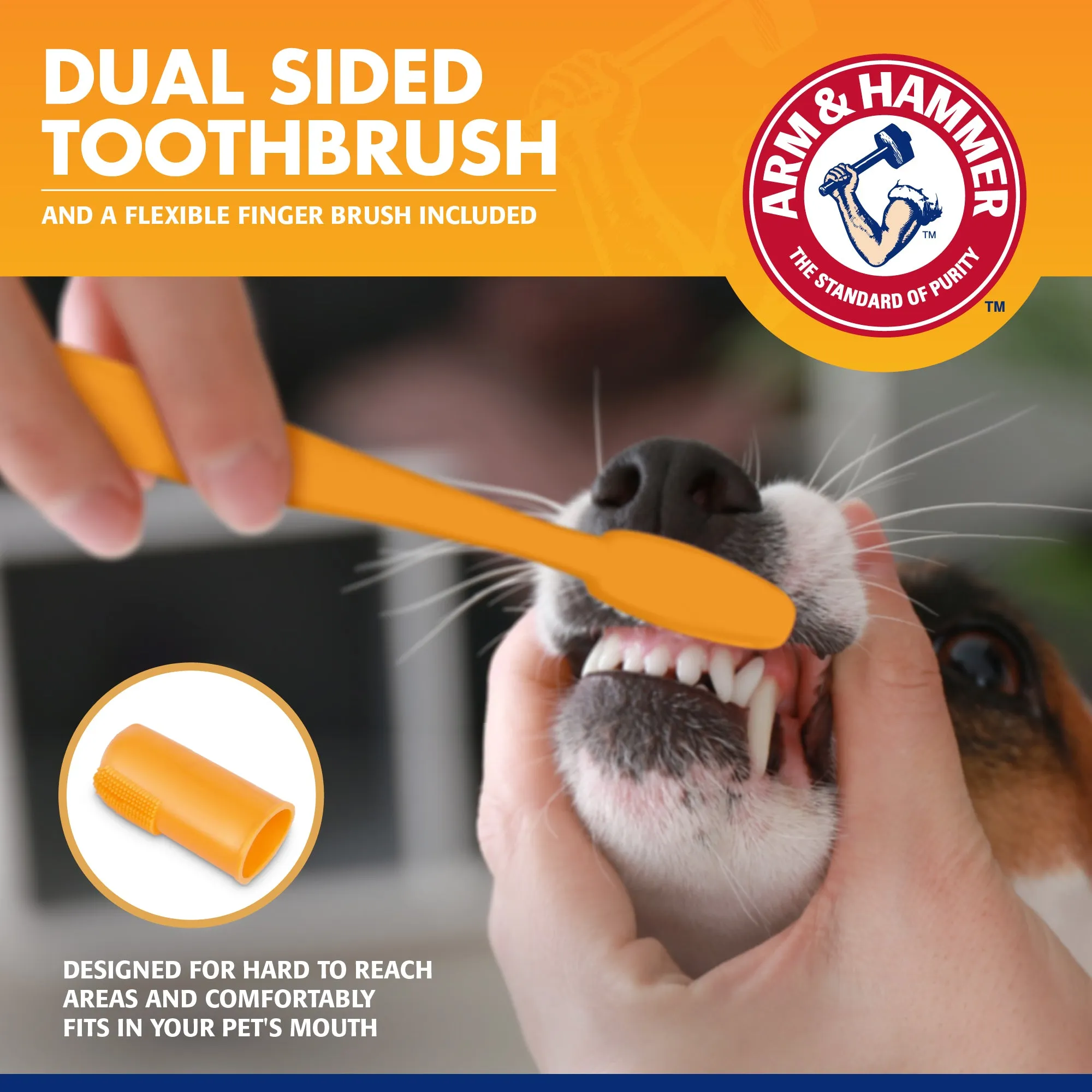 Arm and Hammer Tartar Control Dental Kit for Dogs Beef