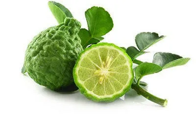 Bergamot Oil