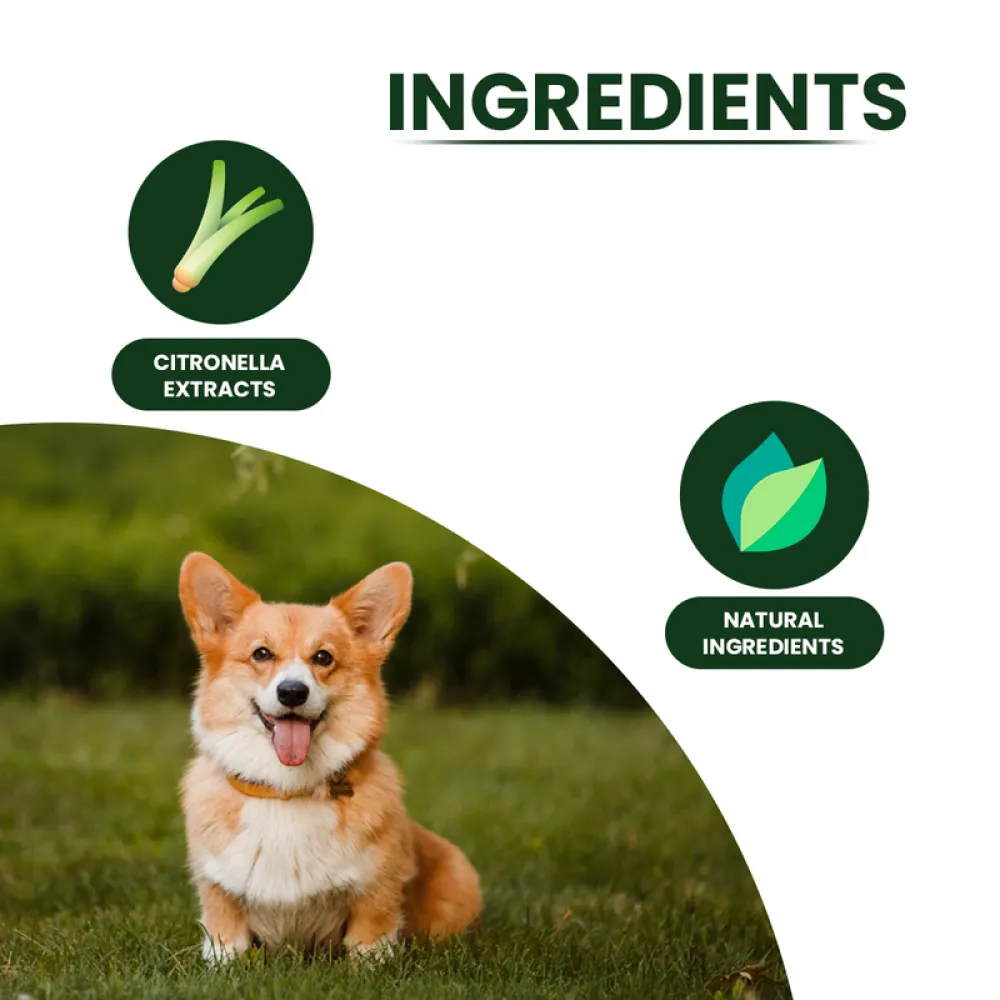 TopDog Premium Citronella Tick Spray for Dogs and Cats